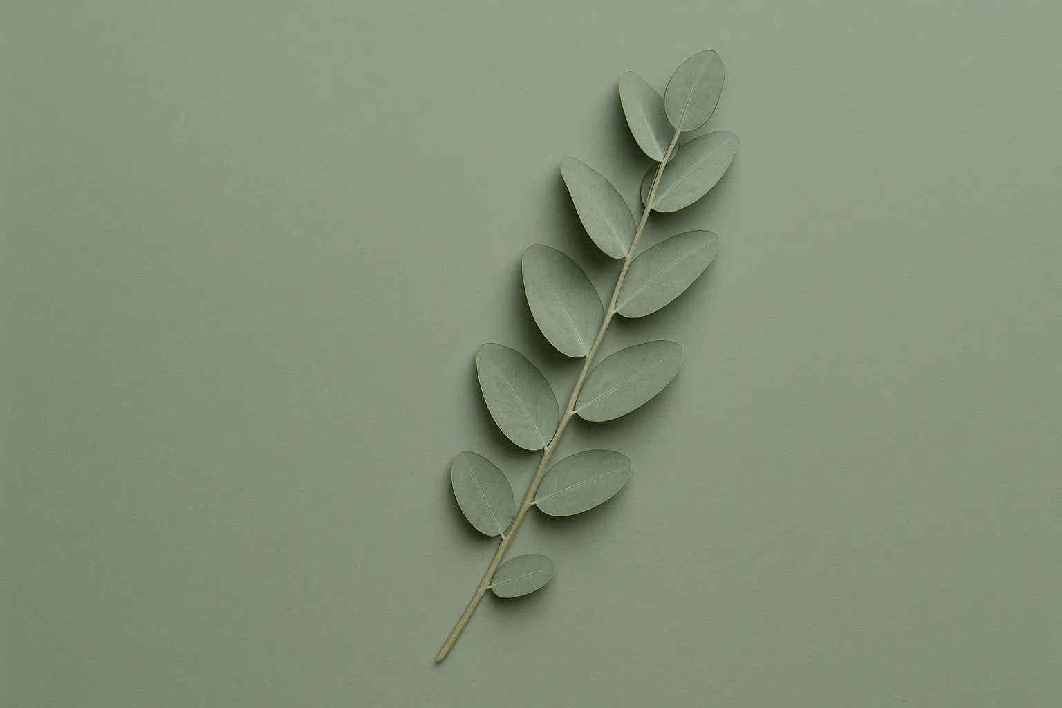 Linen draped over a curved form, read as contour